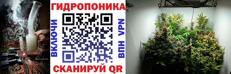 Конопля план  Выборг 
